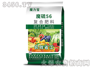 ��(f��)�Ϸ���14-14-14-ħ��56-����(sh��)�I(y��)