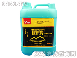 �����͜��������-�����-�ڼژ�