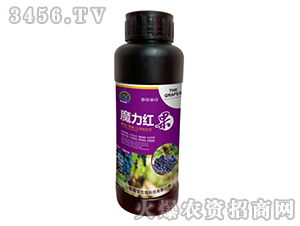 ���ѹ��������Dɫ��-ħ���t��-���r(n��ng)����