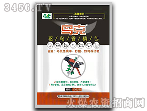 �(q��)�B�㾫��-�B��-���S����