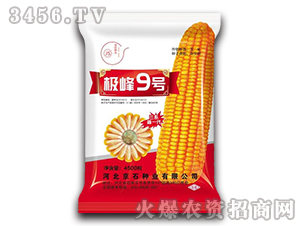 �O��9̖-���׷N��-��ʯ�N�I(y��)