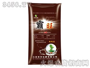 ���ﵪ��ø����-����-�A�л���