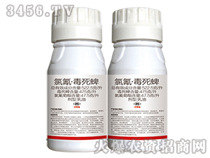 ���衤������-ͬ�S����