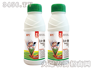 2��4-�ή�����-��ؤ-ͬ�S����