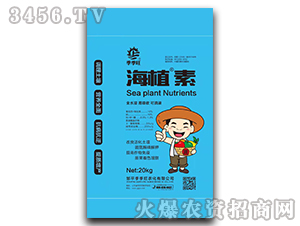 ��ֲ��-������