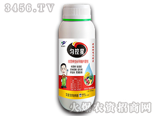 ���I(y��ng)�B(y��ng)���L(zh��ng)ƽ���o(h��)�턩-�����-������