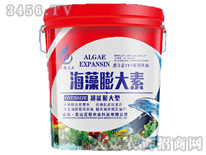 ���������-���(y��ng)�r(n��ng)�I(y��)