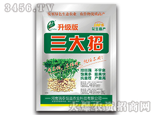 ����(j��)��������-��̩���