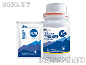 �������}���w�V���\-�ڼژ�(l��)