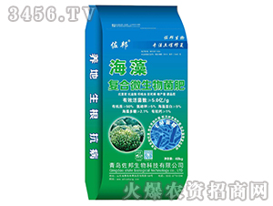 �����(f��)��΢�������-����