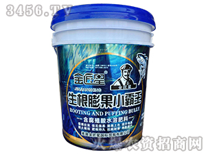 �������С����-����