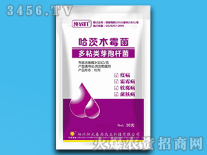 ����ľù��+��ճ�ѿ�ߗU��-������-ꖹⴺ��