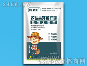 30g΢�������-������-ꖹⴺ��