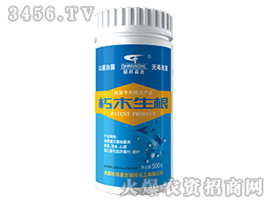 ��ľ����-(li��n)��μ�