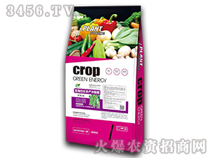 �������L�S�a�_ʩ��-�����f��