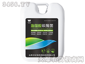 ������̼ø��-�֠���(y��u)