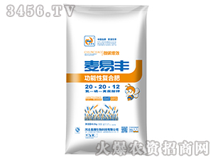 �����S20-20-12-�����t-����