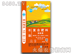 �������(f��)�Ϸ���10-8-28-�f�f