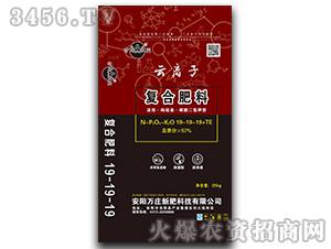 ���x�ӏ�(f��)�Ϸ���19-19-19+TE-�f�f