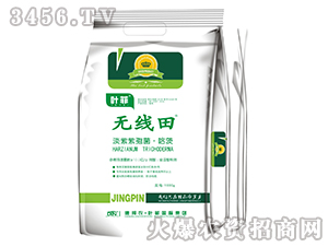 �������߾�������-�o����-�°��r(n��ng)