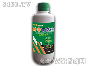 �����ޏ�(f��)��-�~�ƾ�����-�°��r(n��ng)