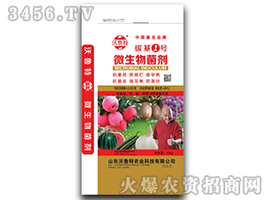 ΢�������-̼��1̖-������