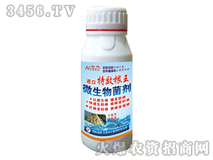 �M�ڸ���-�����r��