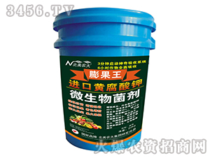 �M���S�����΢�������-�����-�����r(n��ng)��