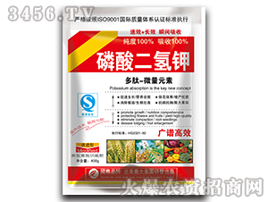 �������⛣�����-΢��Ԫ�أ�-�����r��