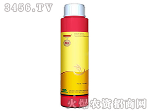 9%���ѡ��������x(ch��ng)�Ҹ��N��-�Ĺ�-�G�I(y��)Ԫ