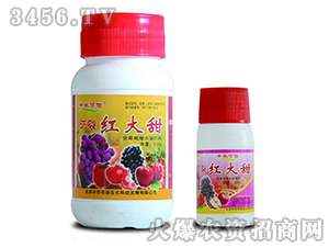 ���Ѽt����-���r(n��ng)����