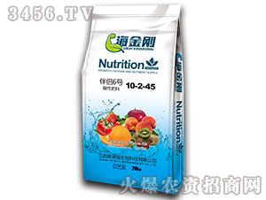 ��H6̖(h��o)10-2-45-������-�W�¸�