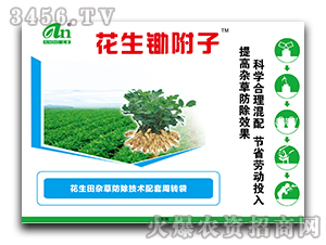 �����z����-�����s�ݷ������g(sh��)�������D(zhu��n)��-���r(n��ng)