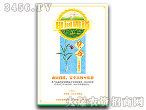 ؐĸ���ó��݄�-���g�Ե�