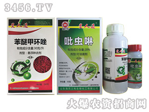 ���Ѽ׭h(hu��n)��+���x���M��-�F�˵�-����