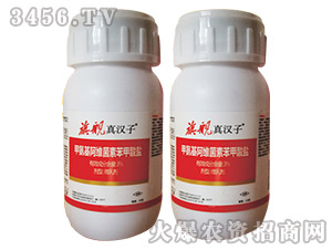 3%�װ������S���ر������}΢�鄩-��Ş��h��-����