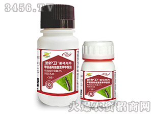 �E�R��Чˎ-���o(h��)�l(w��i)-����