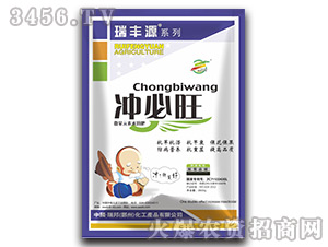 �_����-���SԴ-����