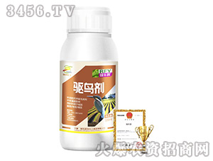 �(q��)�B��-���SԴ-����