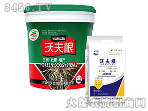 �ַ��-����