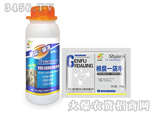 ����һ���+����һ����-����