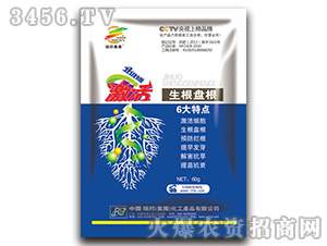 ���������P��-����