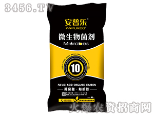 10�|�S�����ЙC(j��)̼΢����������w����-���՘�-�f�����B(t��i)