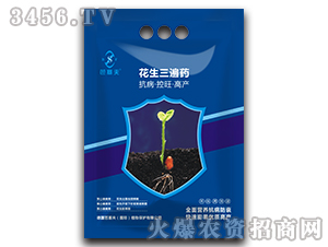 ��������ˎ-������ 