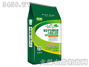 ���}��V��΢��Ԫ�ط�-����