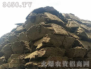 �ЙC(j��)����-��(l��)Ⱥ�r(n��ng)�I(y��)