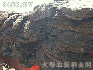 �l(f��)����S-��Ⱥ�r(n��ng)�I(y��)