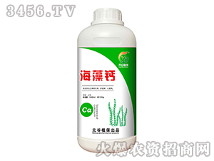 �����}-Ԫ��ֲ��