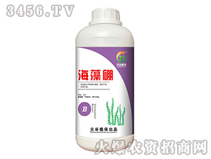 ������-Ԫ��ֲ��