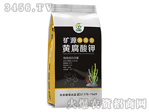 �VԴ������S�����-Ԫ��ֲ��